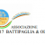 Nasce l’Associazione “A717 BATTIPAGLIA & OLTRE” e i Partiti affannano Nasce l’Associazione “A717 BATTIPAGLIA & OLTRE” e i Partiti affannano