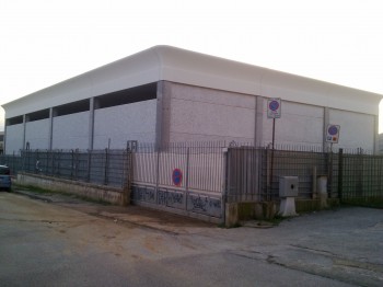 Palestra Liceo Scientifico Gallotta