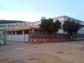 Palestra Liceo Scientifico Gallotta
