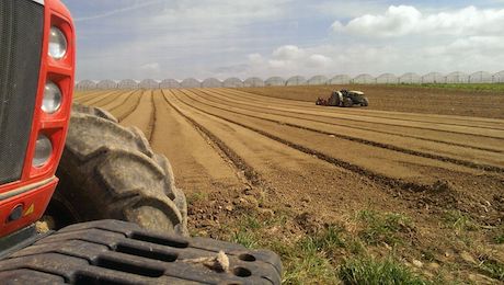 AZIENDA AGRICOLA MIRRA EBOLI terreni