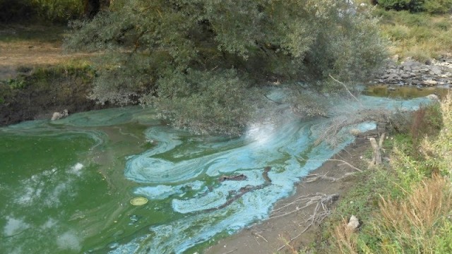 Acqua-da-irrigazione-inquinata-dal-gazzettino-vesuviano
