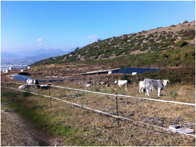 Battipaglia-Area-discarica.