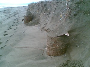 Bidoni in spiaggia a Campolongo