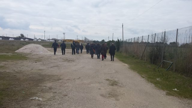 Coda di Volpe-a destra campo di carciofi