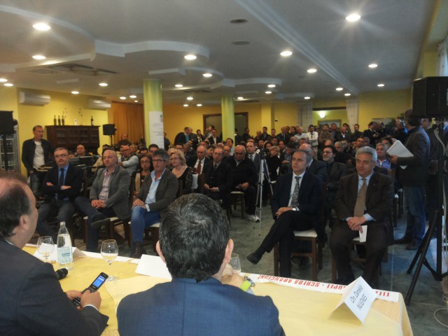 Convegno-Forza-Italia-Eboli-Pubblico