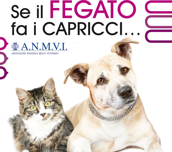 Convegno Veterinari-Salerno