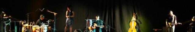 Fluido Ligneo Ethnic Orchestra