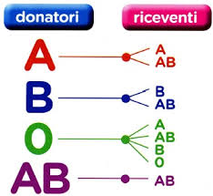 donazione sangue 2