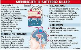 meningite-battero killer