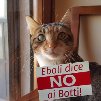 Eboli dice no ai botti