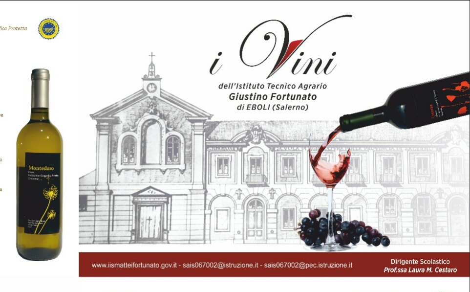 I vini dell'Istituto Agrario 1