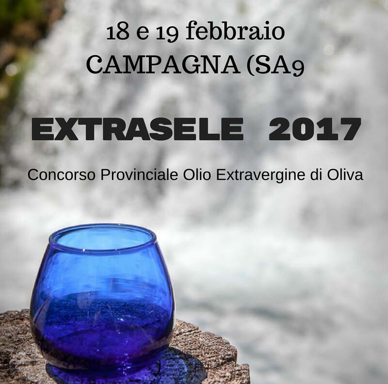 Campagna-1 Concorso Provinciale-Extrasele 2017