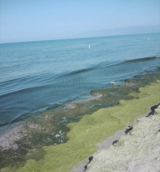 Mare di Eboli