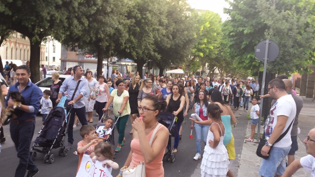 Manifestazione a difesa della Sanità-Eboli 9