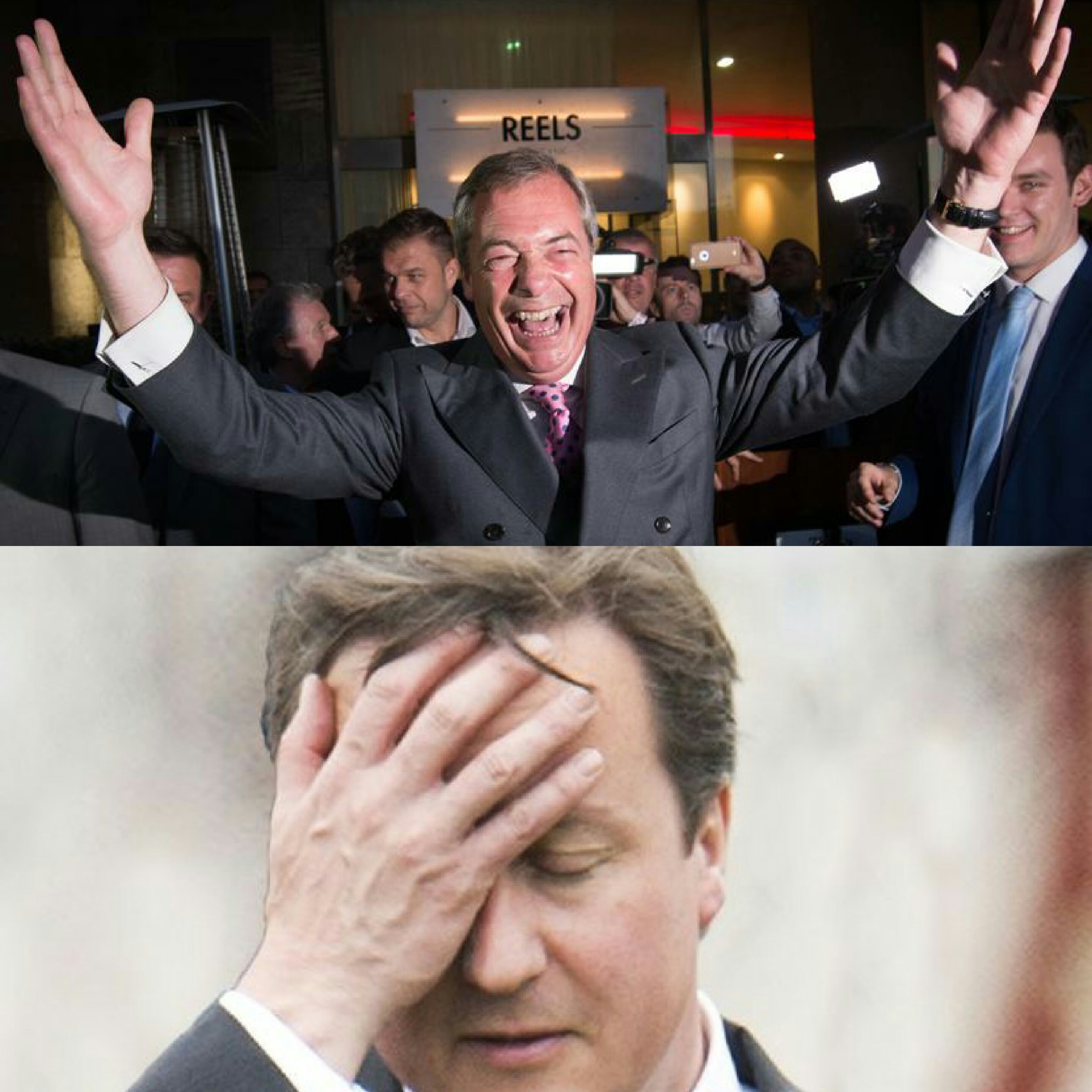 Nighel Farage-David Cameron