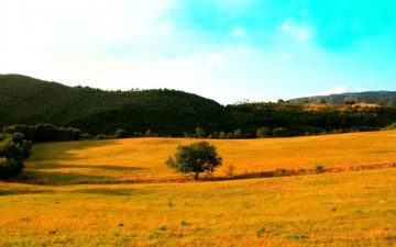 Paesaggio-San-Donato