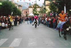 Palio del ciuccio