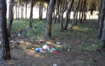 Pineta di Eboli