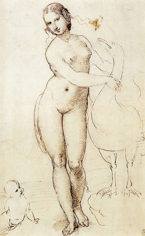 Raffaello_da_Leonardo_Studio_della_Leda_e_il_cigno.