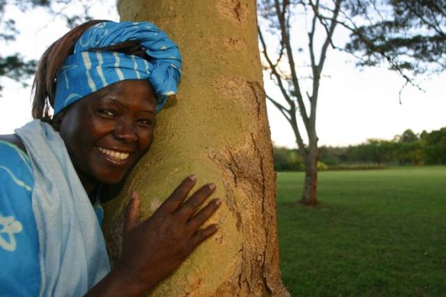 Wangari Muta Maathai