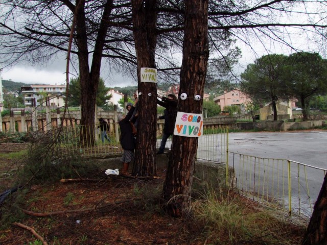 alberiborgo