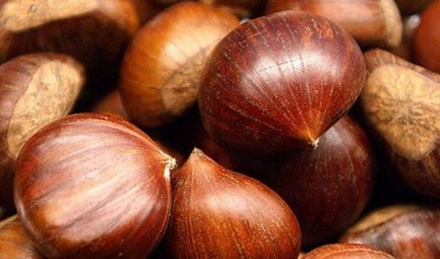 castagne