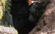foiba