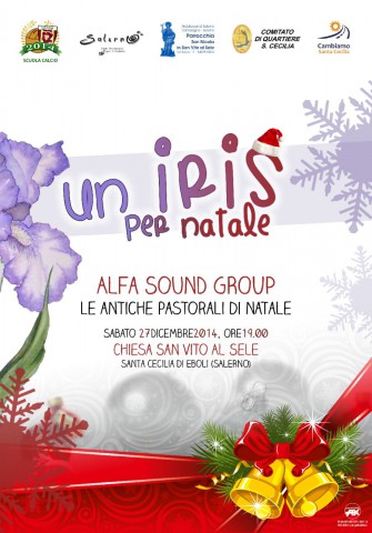 Natale iris