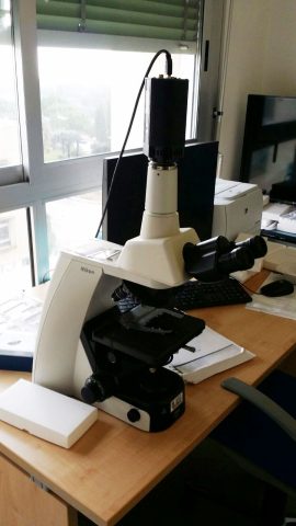microsopio per studi emopatici